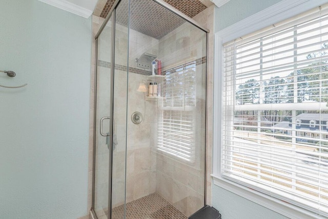 bathroom with plenty of natural light and a shower stall