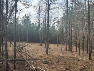 Listing photo 2 for LOT28 Folly Dr, Lincolnton GA 30817