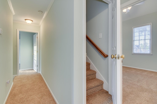 staircase featuring carpet, crown molding, and baseboards