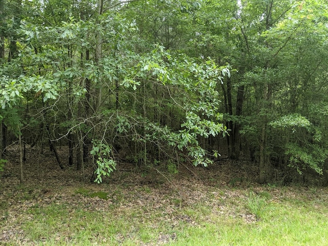 Listing photo 3 for LOT1 Indian Rd, Lincolnton GA 30817