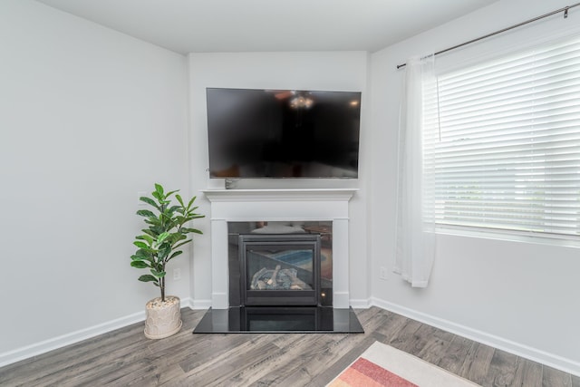 6058 Whitewater Dr, North Augusta, SC 29841 - detailed view of wood finished floors and a glass covered fireplace