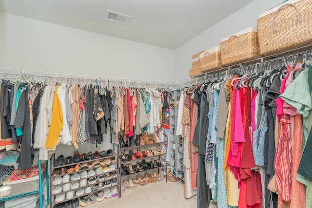 6058 Whitewater Dr, North Augusta, SC 29841 - walk in closet with carpet flooring