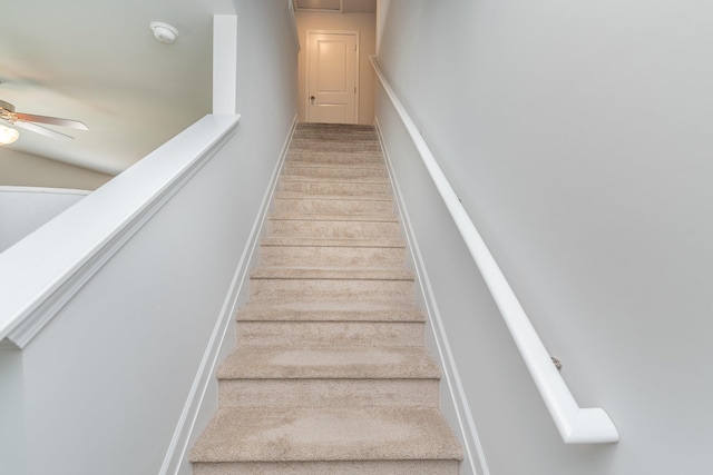 6058 Whitewater Dr, North Augusta, SC 29841 - staircase featuring ceiling fan and carpet