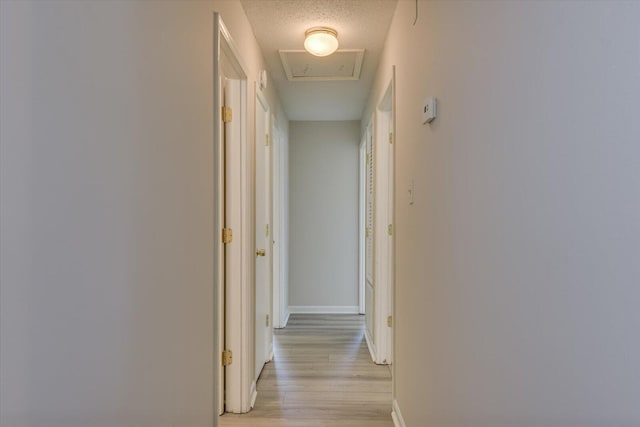 hallway featuring light wood-type flooring and a textured ceiling