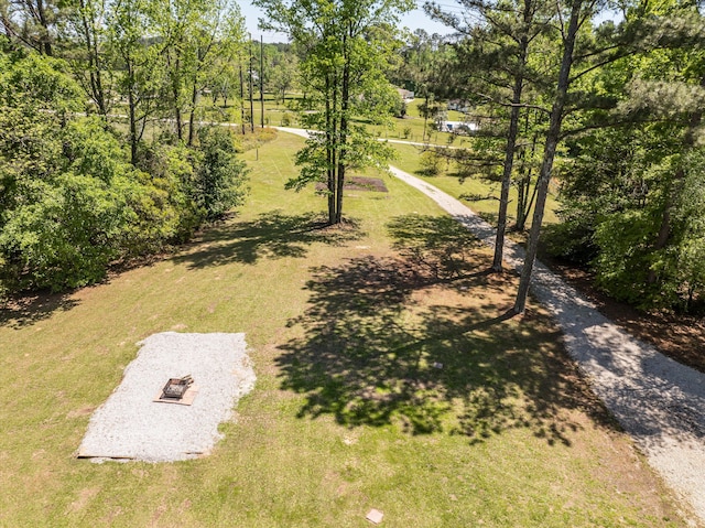 view of community with a yard