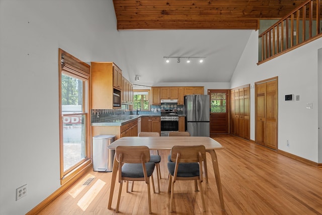 kitchen featuring light wood-style flooring, appliances with stainless steel finishes, high vaulted ceiling, and under cabinet range hood