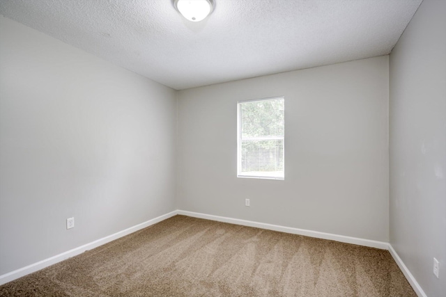 3404 Nance B Blvd, Hephzibah, GA 30815 - photo 22