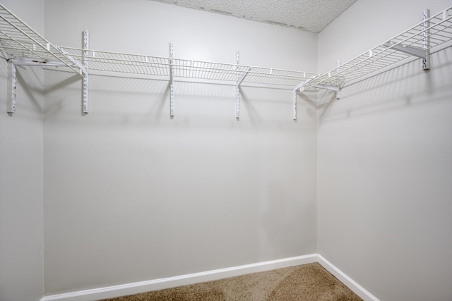 3404 Nance B Blvd, Hephzibah, GA 30815 - photo 16