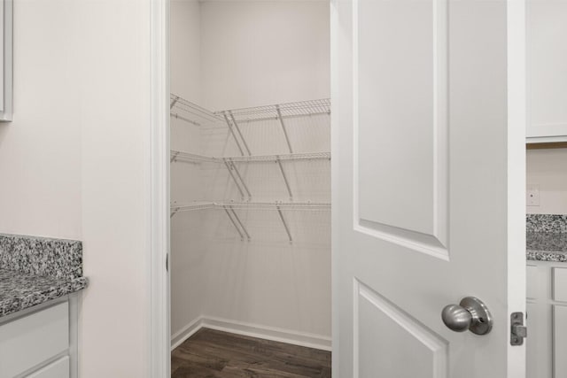 spacious closet featuring dark wood finished floors