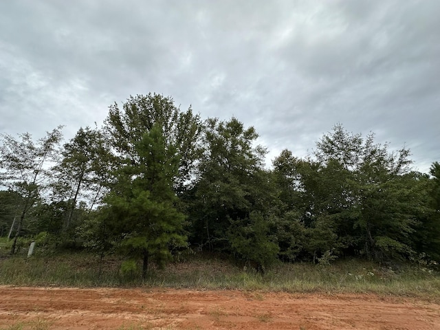 0-36 Nelson Ct, Louisville GA, 30434 land for sale