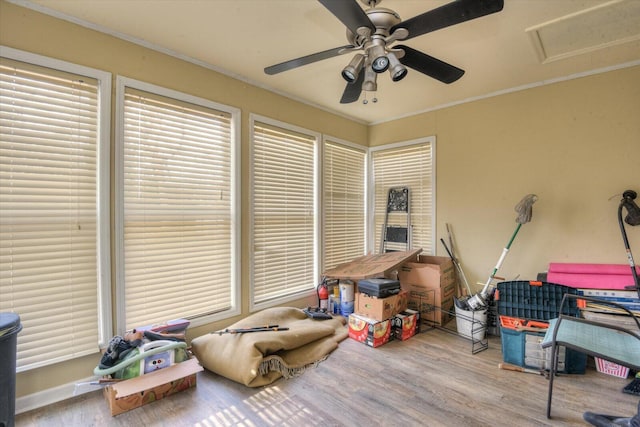 sunroom / solarium with ceiling fan