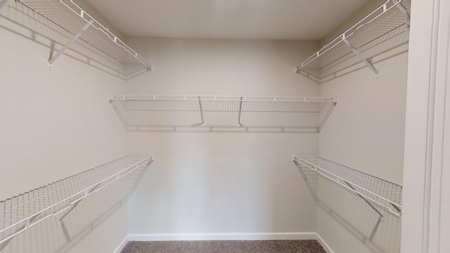 walk in closet featuring carpet floors