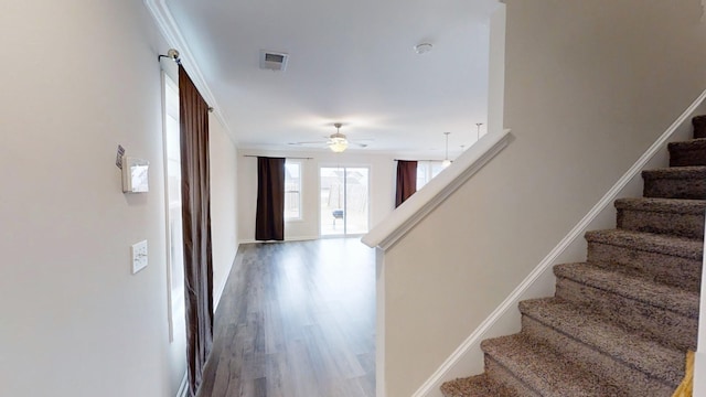 stairway with ceiling fan, hardwood / wood-style flooring, and crown molding