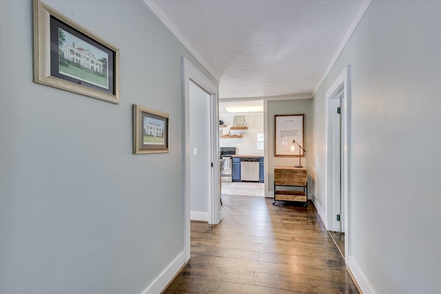 1703 Marion Ave, North Augusta, SC 29841 - corridor with wood-type flooring and ornamental molding