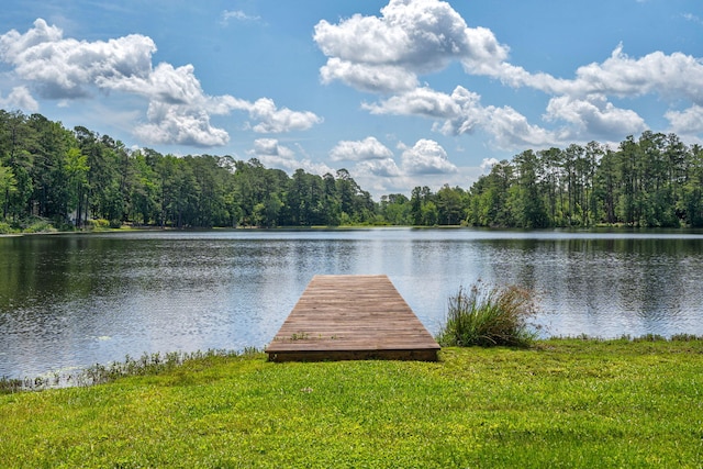 10 Stephens, North Augusta, SC 29860 - photo 6