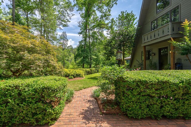 10 Stephens, North Augusta, SC 29860 - photo 65
