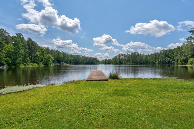 10 Stephens, North Augusta, SC 29860 - photo 71