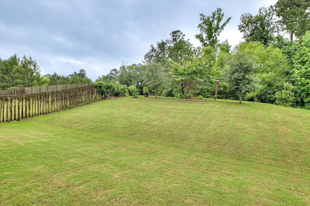 1548 Driftwood Ln, Grovetown, GA 30813 - view of yard