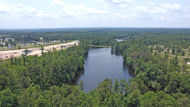bird's eye view featuring a water view and a wooded view