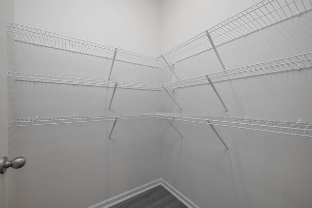 walk in closet featuring hardwood / wood-style floors