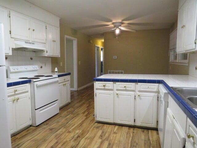 2202 Vireo Dr, North Augusta, SC 29841 - kitchen with white range with electric stovetop, under cabinet range hood, white cabinets, and a ceiling fan