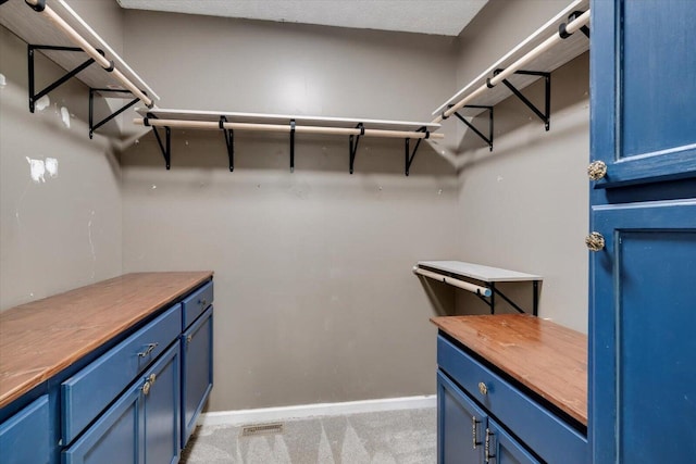 spacious closet with light colored carpet