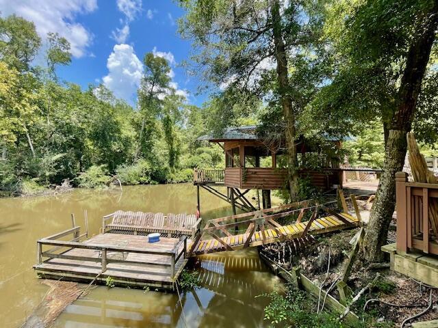 837 Linger Long Rd, Sylvania, GA 30467 - photo 8