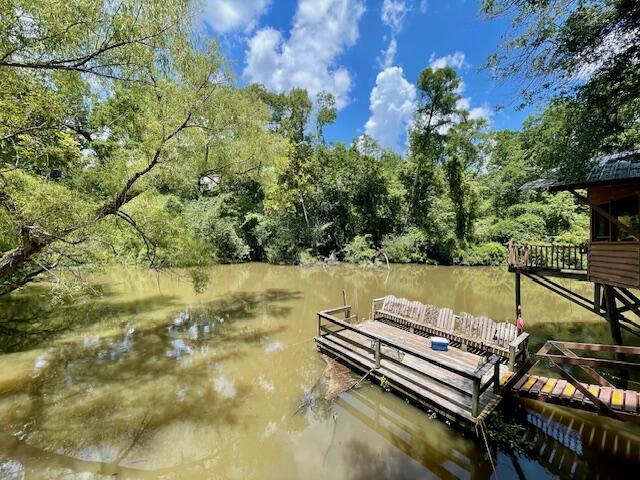 837 Linger Long Rd, Sylvania, GA 30467 - photo 9