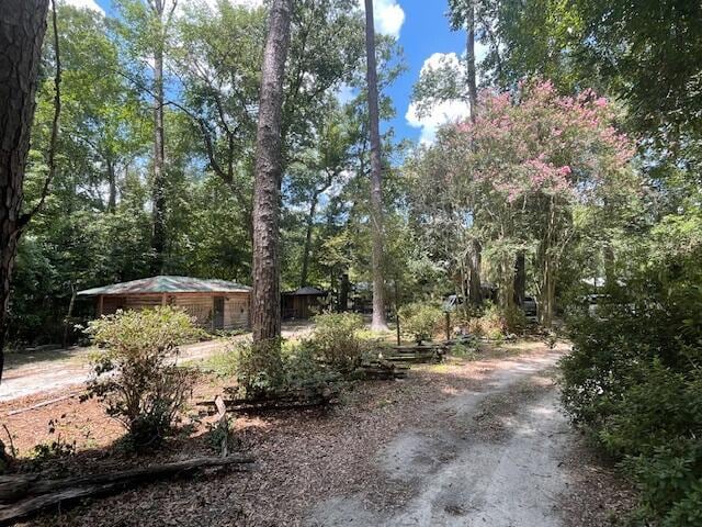 837 Linger Long Rd, Sylvania, GA 30467 - photo 37