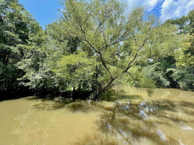 837 Linger Long Rd, Sylvania, GA 30467 - photo 10