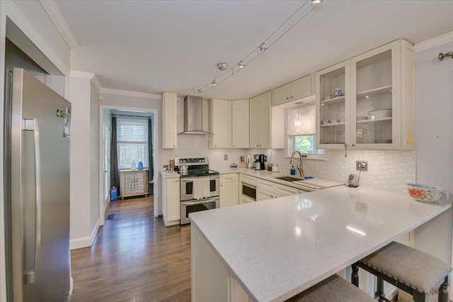 kitchen featuring wall chimney range hood, appliances with stainless steel finishes, a sink, ornamental molding, and decorative backsplash