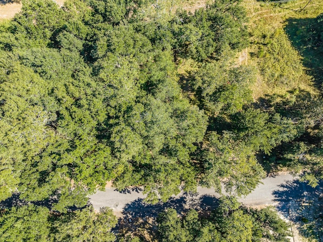 LOT15 Mallard Dr, Barnwell, SC 29812 - photo 7