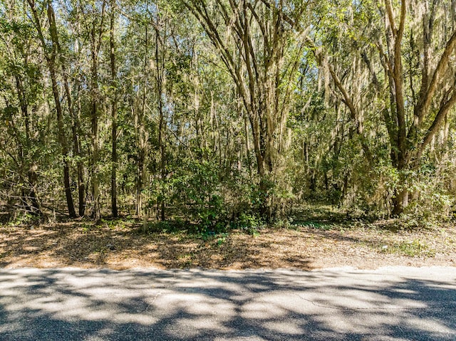 LOT15 Mallard Dr, Barnwell, SC 29812 - photo 6