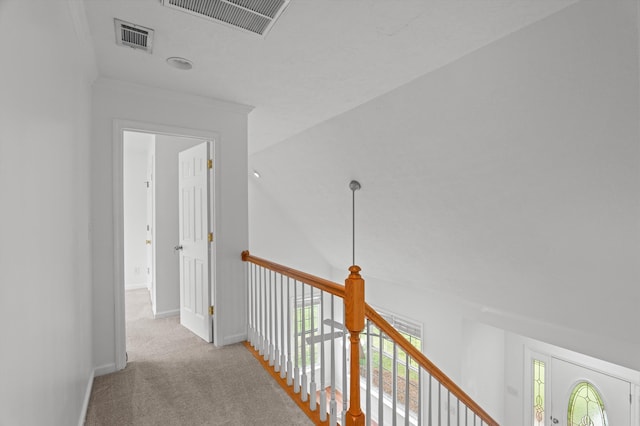 2532 Grier Cir, Evans, GA 30809 - corridor with carpet floors and baseboards