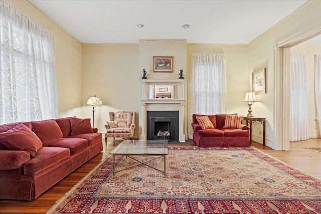 living room featuring hardwood / wood-style floors and plenty of natural light