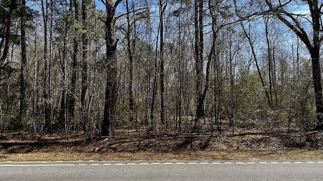 0 Davis Rd, Williston SC, 29853 land for sale