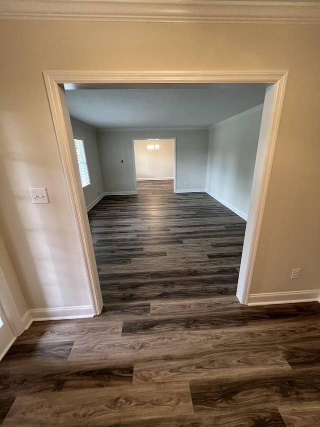 3517 Jamaica Dr, Augusta, GA 30909 - hallway featuring ornamental molding and dark wood-type flooring