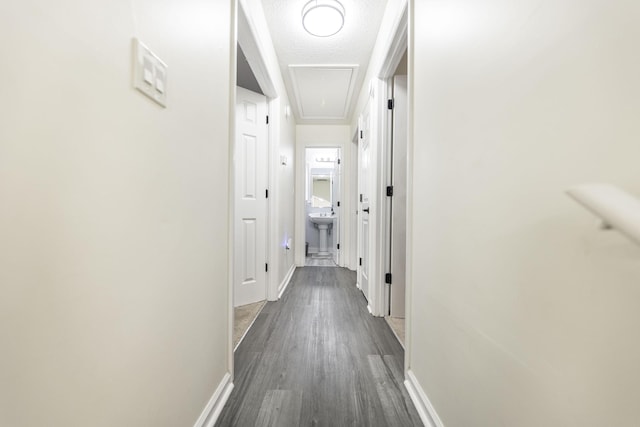 hallway with dark hardwood / wood-style flooring, a textured ceiling, and sink