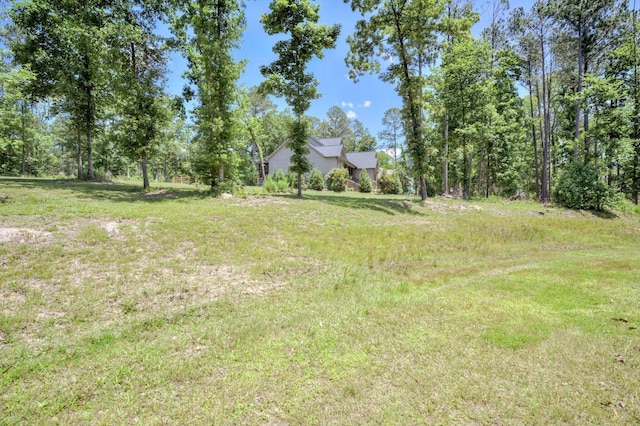 110 Collin Reeds Rd, North Augusta, SC 29860 - view of yard