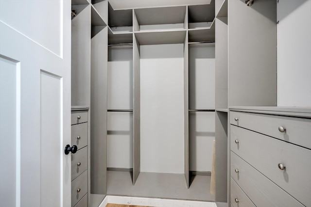 110 Collin Reeds Rd, North Augusta, SC 29860 - view of spacious closet