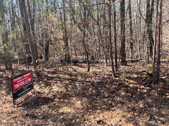 LOT2 Fishing Creek Estates Rd, Lincolnton GA, 30817 land for sale