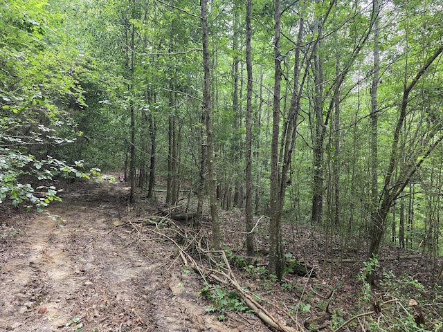 2031 Mcdade Rd, Hephzibah, GA 30815