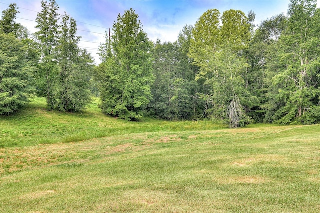 422 Mill Creek Dr, Clarks Hill, SC 29821 - photo 39