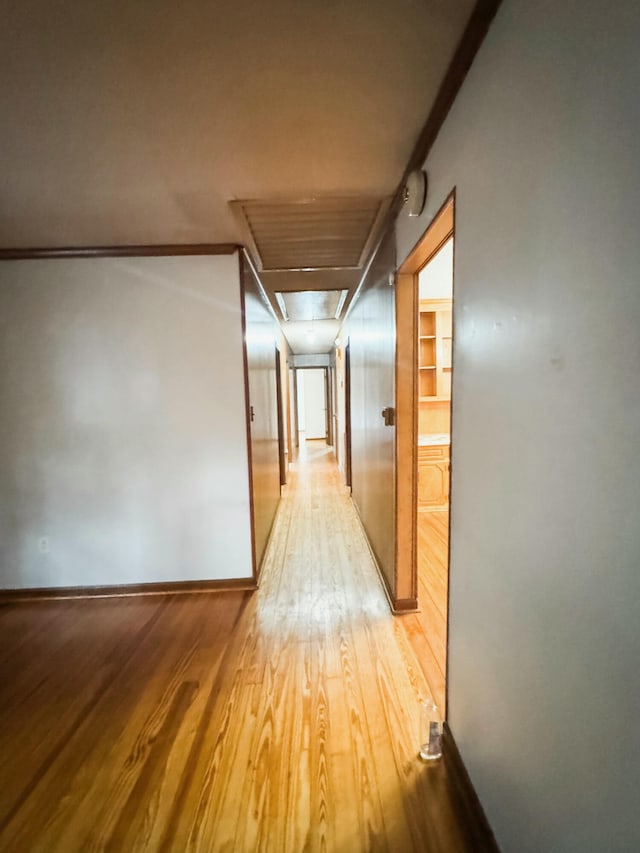 corridor featuring light hardwood / wood-style floors