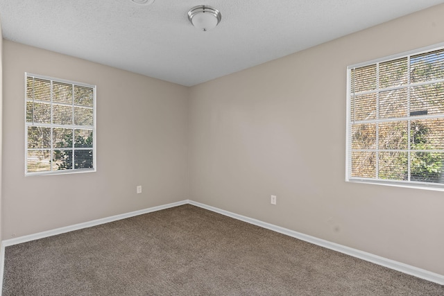 spare room featuring a textured ceiling, plenty of natural light, carpet flooring, and baseboards