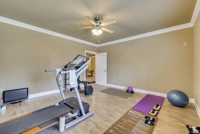 exercise area with hardwood / wood-style flooring, ornamental molding, and ceiling fan