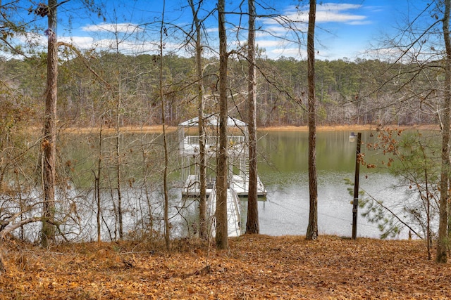 view of water feature