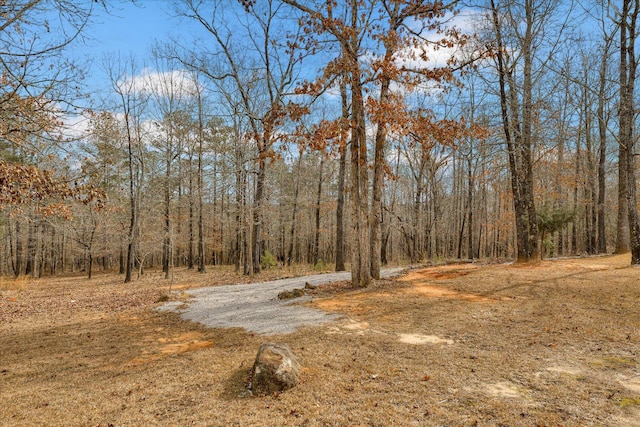 view of landscape