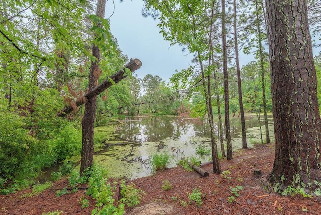510 Sweet Meadow Dr, Grovetown, GA 30813 - water view with a forest