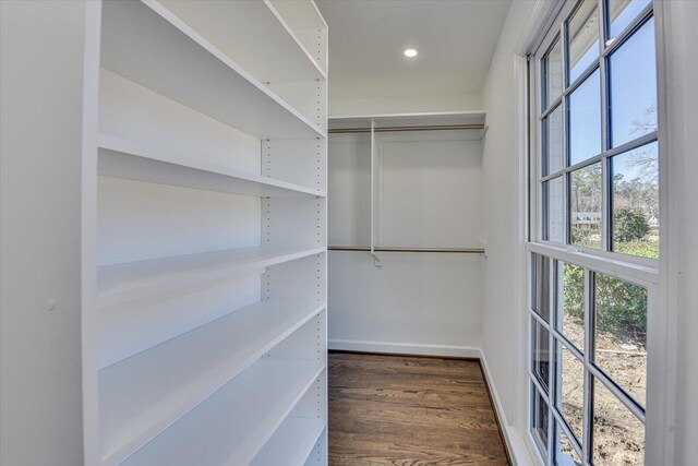 spacious closet featuring wood finished floors